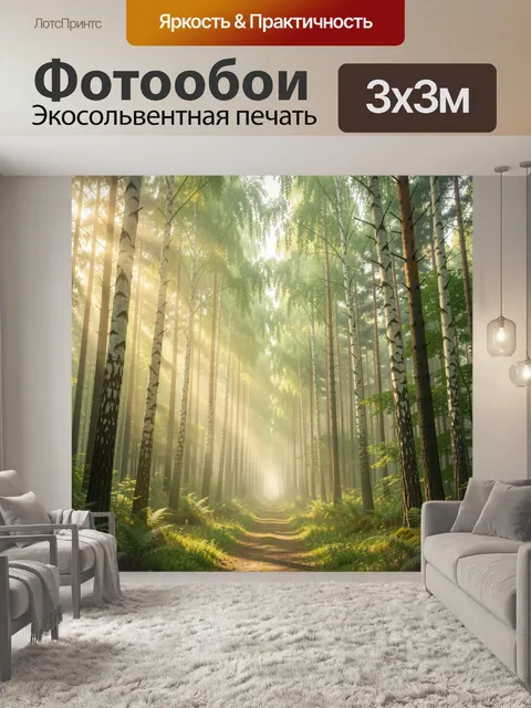 Фотообои Солнечная берёзовая аллея в лесу. Узкая тропинка в светлом лесном массиве с высокими стволами, мягкими лучами…