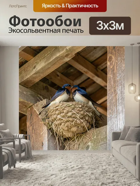 Фотообои Пара ласточек у гнезда. Две птицы с темно-синими крыльями нежно соприкасаются клювами под деревянной крышей; …