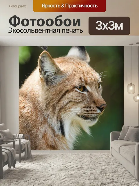 Фотообои Рысь, животное, дикая природа