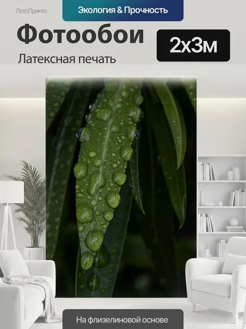 200 × 300 см · Латексная печать