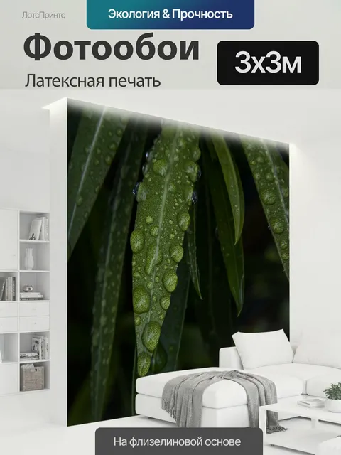 300 × 300 см · Латексная печать