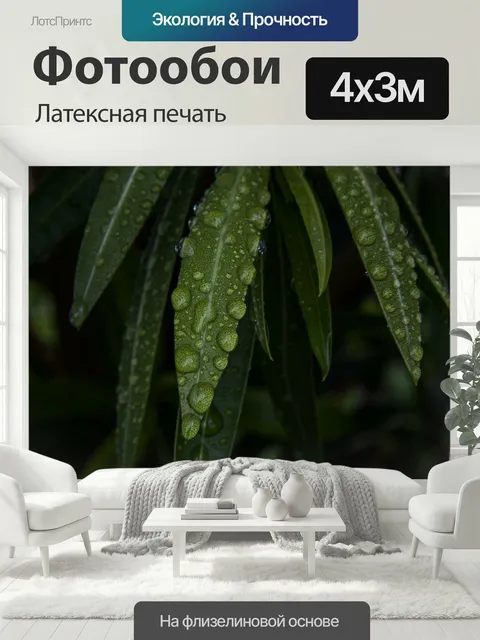 400 × 300 см · Латексная печать