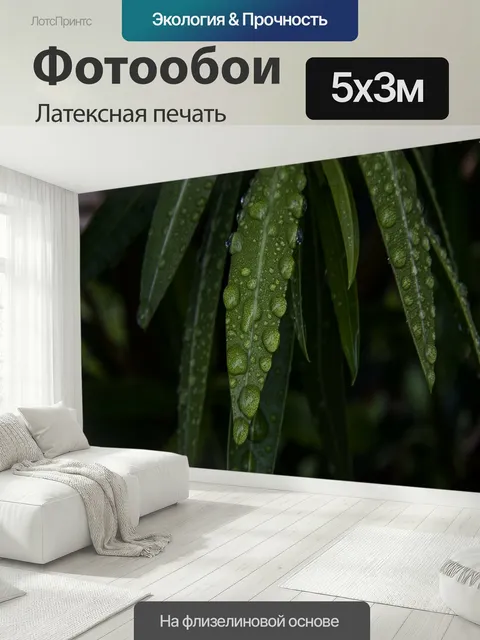 500 × 300 см · Латексная печать