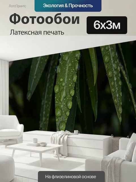 600 × 300 см · Латексная печать