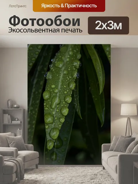 200 × 300 см · Экосольвентная печать