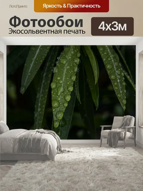 400 × 300 см · Экосольвентная печать