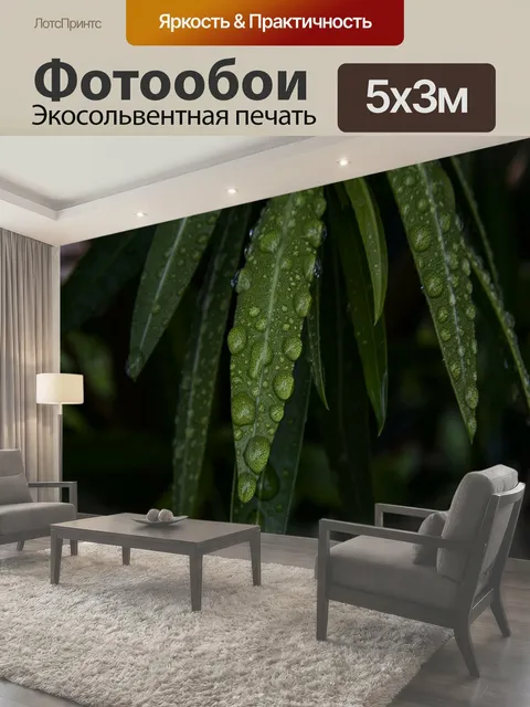 Фотообои Капли дождя на листьях Олеандера ярко-зеленые цвета листьев олеандра под капельками
