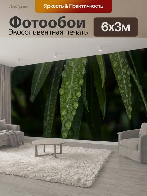 600 × 300 см · Экосольвентная печать