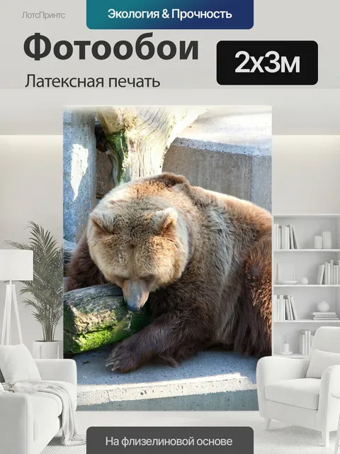 200 × 300 см · Латексная печать