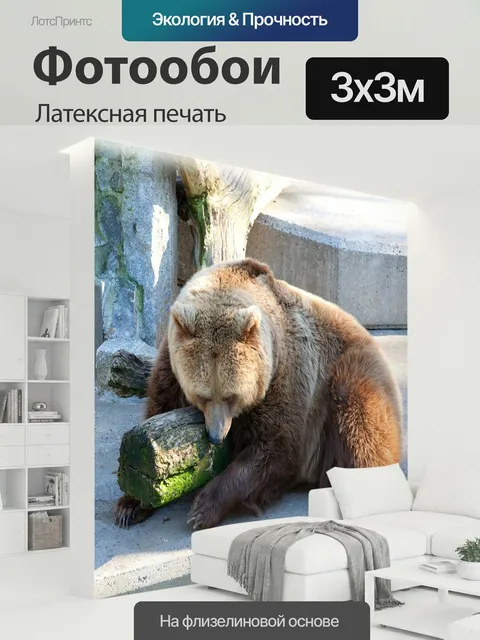 300 × 300 см · Латексная печать