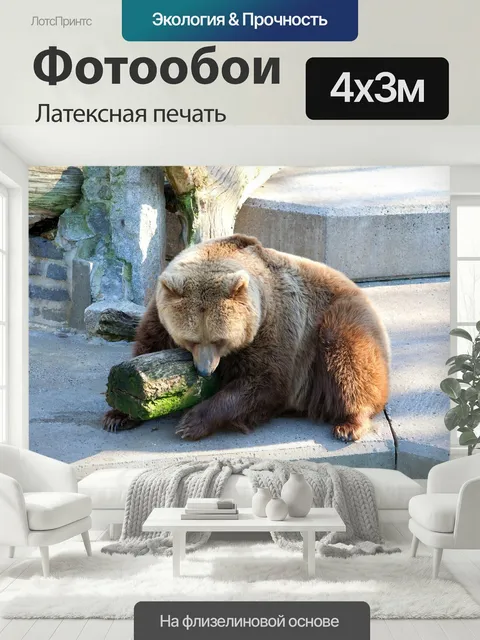 400 × 300 см · Латексная печать