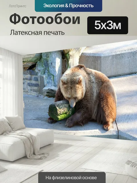 500 × 300 см · Латексная печать