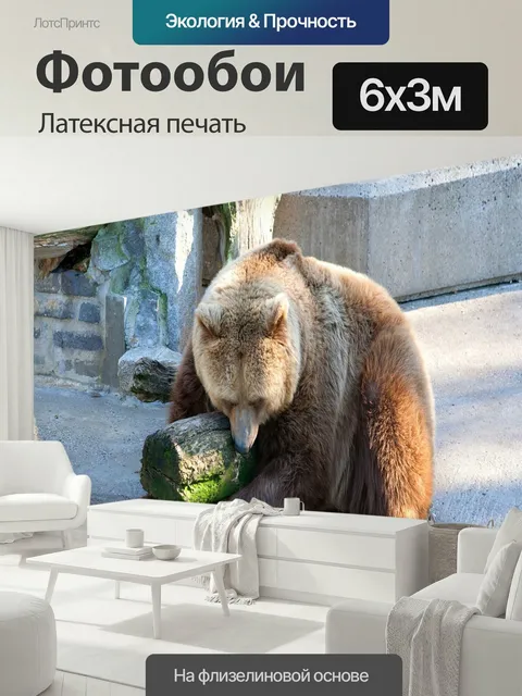 600 × 300 см · Латексная печать