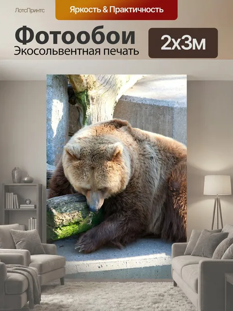 200 × 300 см · Экосольвентная печать