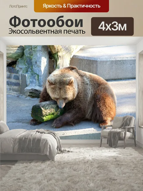 400 × 300 см · Экосольвентная печать