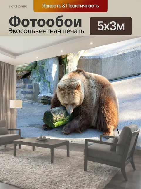 500 × 300 см · Экосольвентная печать