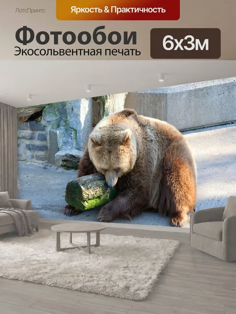 600 × 300 см · Экосольвентная печать