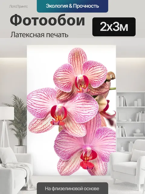 200 × 300 см · Латексная печать