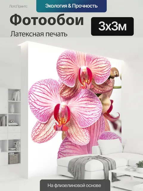 300 × 300 см · Латексная печать