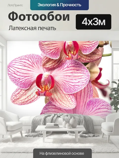 400 × 300 см · Латексная печать