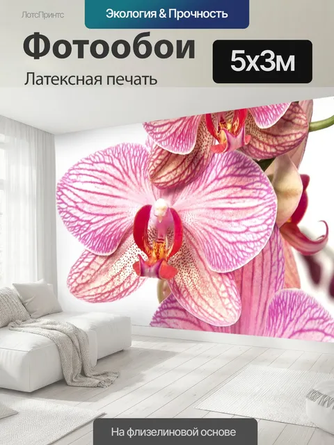 500 × 300 см · Латексная печать