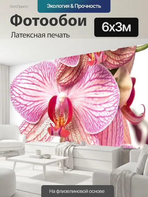 600 × 300 см · Латексная печать