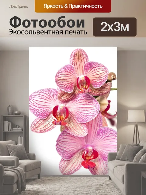 200 × 300 см · Экосольвентная печать