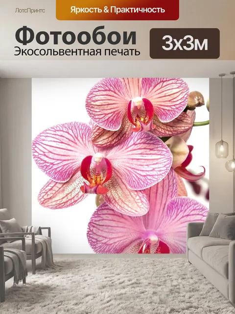 Фотообои Орхидея, фаленопсис, желтый