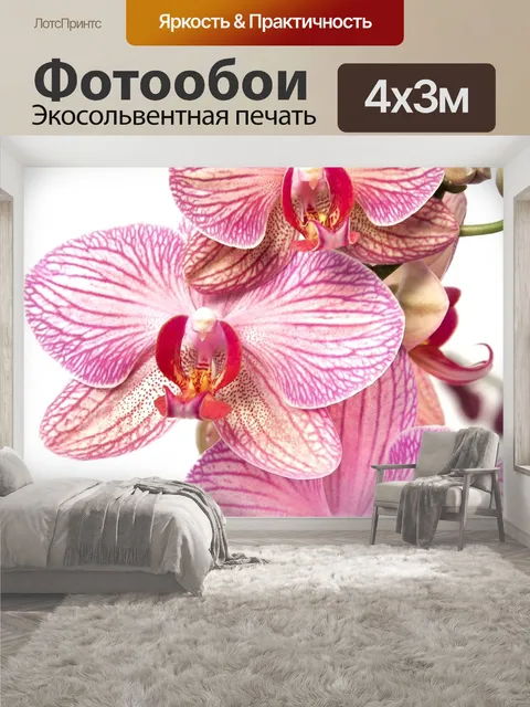 400 × 300 см · Экосольвентная печать