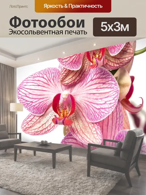 500 × 300 см · Экосольвентная печать