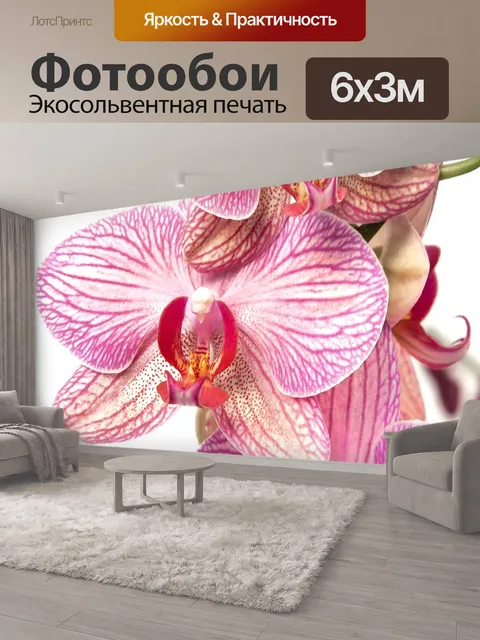 600 × 300 см · Экосольвентная печать