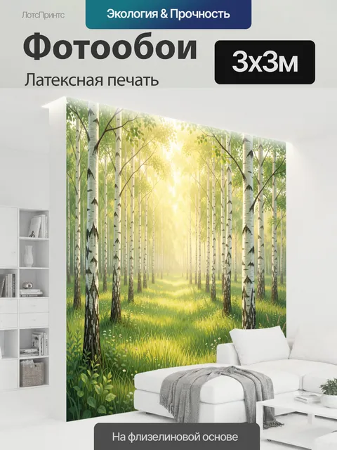 300 × 300 см · Латексная печать