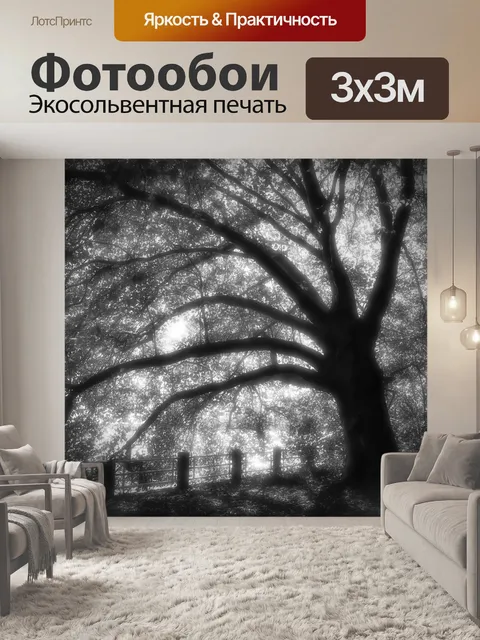 Фотообои Дерево, черно-белый, лес