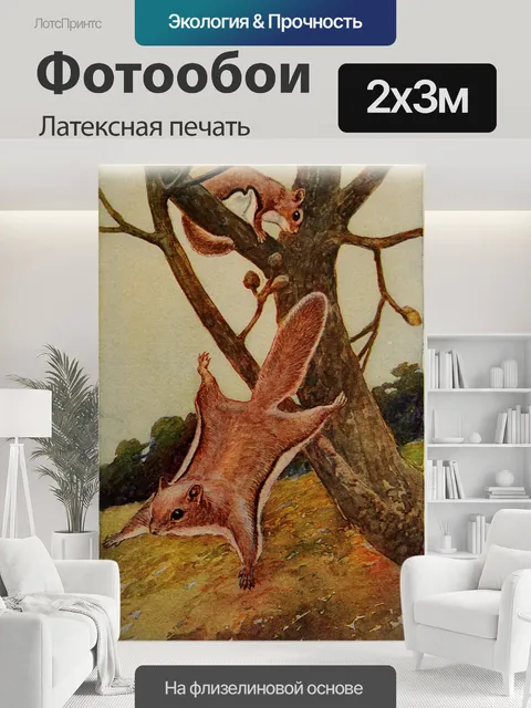 200 × 300 см · Латексная печать
