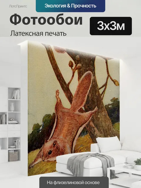 300 × 300 см · Латексная печать