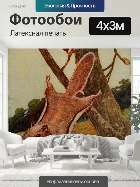 400 × 300 см · Латексная печать