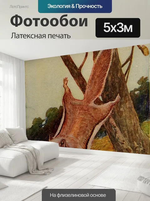 500 × 300 см · Латексная печать