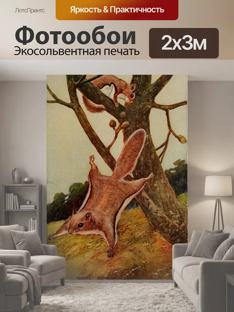 200 × 300 см · Экосольвентная печать