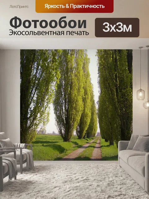 Фотообои Тополя, деревья, дороги обсаженной деревьями