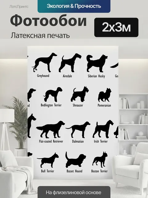 200 × 300 см · Латексная печать