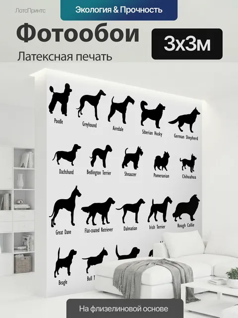 300 × 300 см · Латексная печать