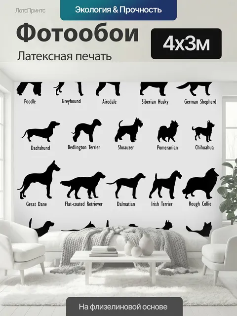 400 × 300 см · Латексная печать