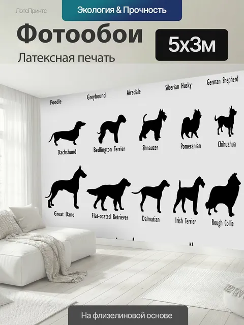 500 × 300 см · Латексная печать