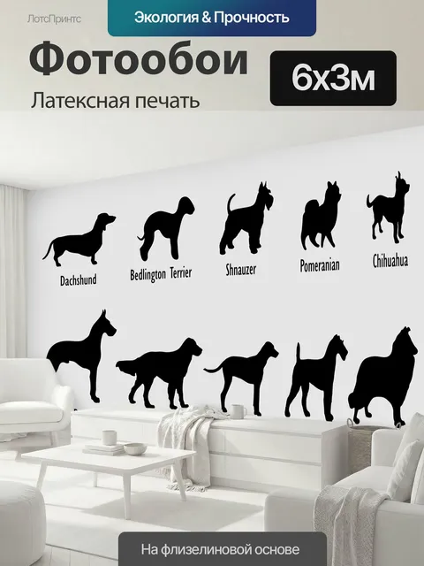 600 × 300 см · Латексная печать