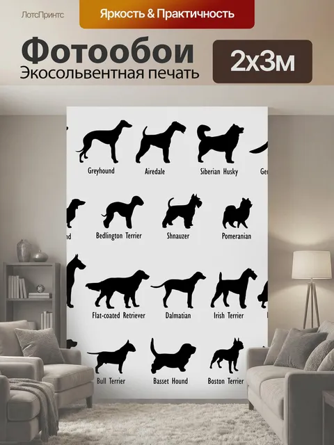200 × 300 см · Экосольвентная печать