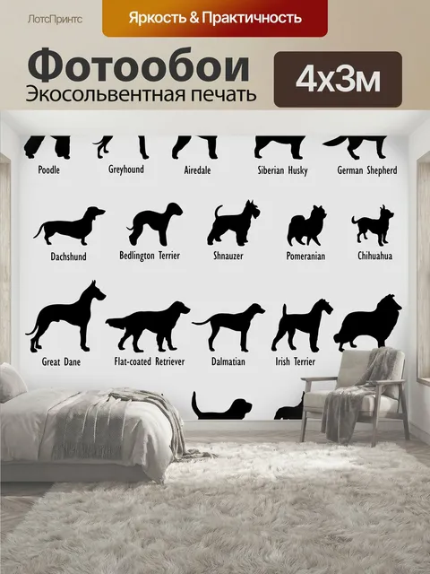 400 × 300 см · Экосольвентная печать