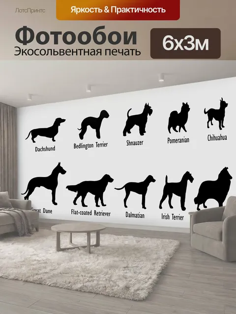 600 × 300 см · Экосольвентная печать