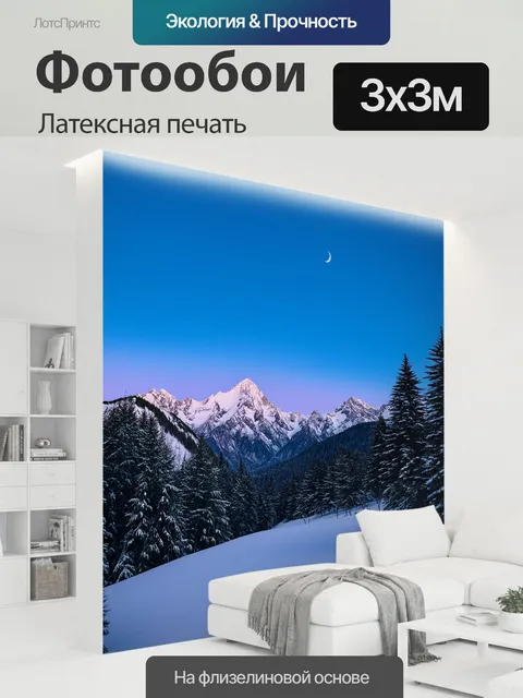 300 × 300 см · Латексная печать