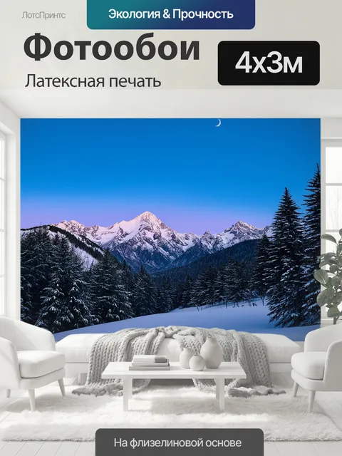 400 × 300 см · Латексная печать