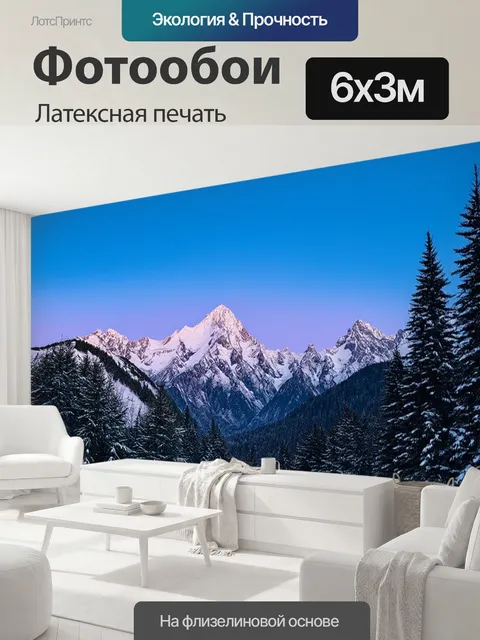 600 × 300 см · Латексная печать